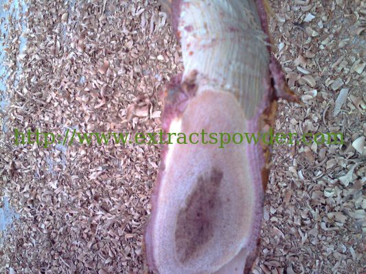 natural thunder god vine extract,high purity thunder god vine extract powder 98%triptolide