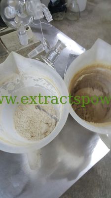 herb medicine lei gong teng extract,lei gong teng extract powder,98% Triptolide