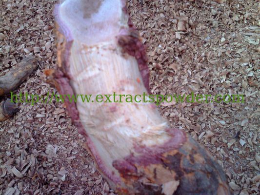 Thunder God Vine Extract Triptolide, 98% Triptolide Cas: 38748-32-2