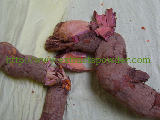 herb medicine lei gong teng extract,lei gong teng extract powder,98% Triptolide