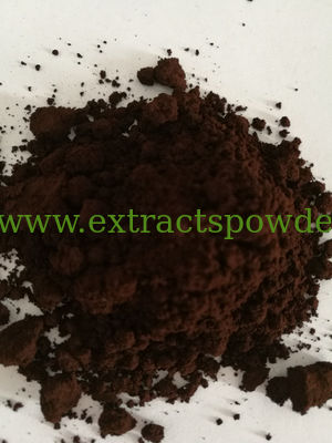 Ganoderma Lucidum Spore Powder