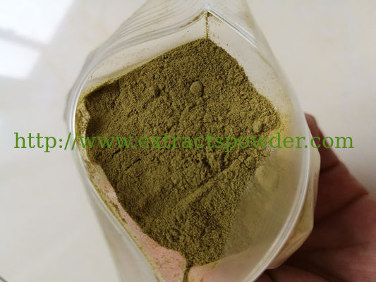 echinacea extract echinacoside