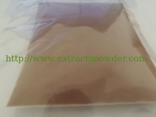 Ganoderma Extract,Ganoderma lucidum Extract Polysaccharides 30