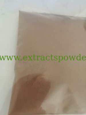 Ganoderma Extract 30%Polysaccharides, 2%Triterpene