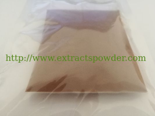 Reishi mushroom extract Polysaccharide 50%; Triterpenoid 1% HPLC