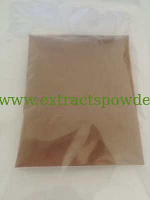 Reishi mushroom extract Polysaccharide 50%; Triterpenoid 1% HPLC
