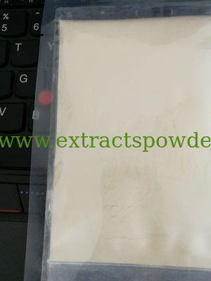 beta glucan yeast, beta glucan food grade, beta glucan for food supplement