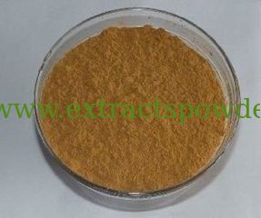 7% Silica acid,Horsetail Extract,Horsetail Extract Powder,Horsetail P.E.