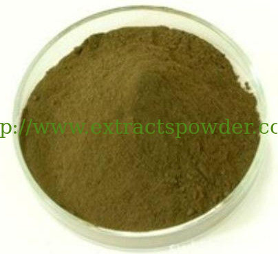 Fucus extract,Fucus extract powder,Fucus vesiculosus extract,Bladderwrack Extract