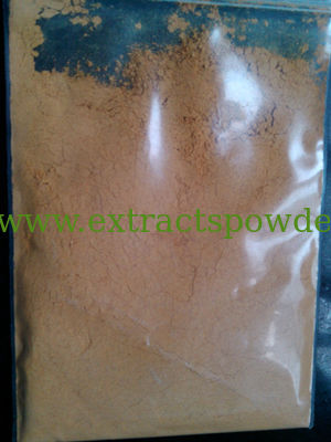 Caulis Lonicerae Japonicae Extract, natural honeysuckle stem extract