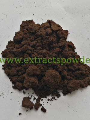 black ant extract,black ant powder,black ant extract powder,Polyrhachis vicina Roger Extract,Formic acid