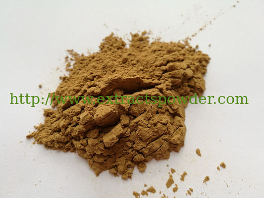 Sea Cucumber Peptide, Sea Cucumber Extract, Trepang Extract, Enzymatic Sea Cucumber Powder