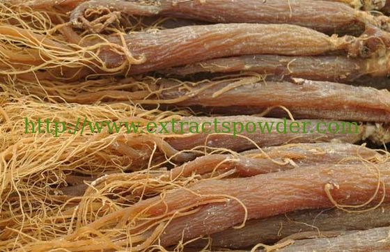 radix ginseng rubra extract, radix ginseng rubra p.e., red ginseng extract, red ginseng root powder