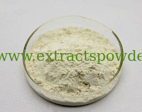 Natural soybean Peptide,soybean Peptide powder,soy Peptide,soya Peptide 99%