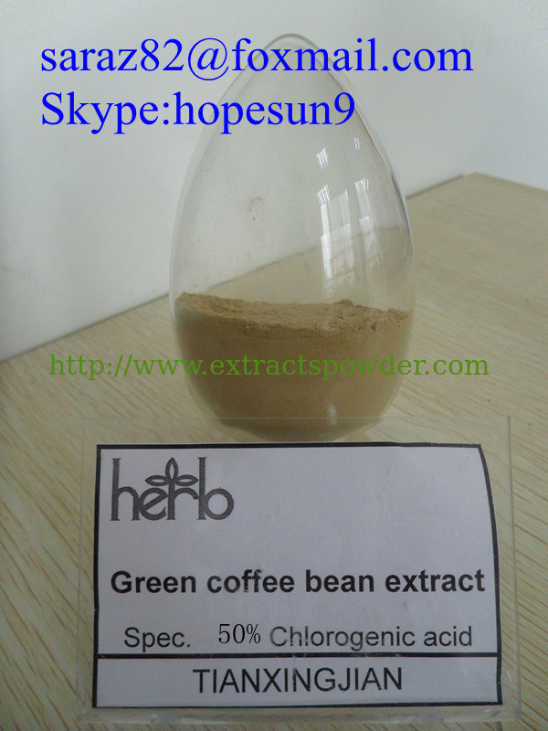 Coffea Arabica Green Coffee Bean Extract 50%Chlorogenic Acid CAS Number: 327-97-9
