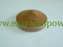 Red Clover Extract,Red Clover Extract Powder,Red Clover P.E. cas:85085-25-2