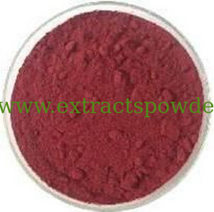 Acai Fruit Extract,Acai Powder,Acai Fruit Powder,Acai Berry Powder,Acai Juice Powder
