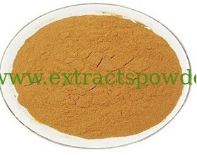 Gymnema Sylvestre P.E.,Gymnema P.E.,Gurmar Extract powder,Gymnemic Acid Cas 90045-47-9