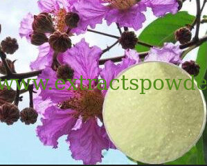 loquat leaf extract,banaba leaf extract,corosolic acid extract CAS:4547-24-4