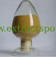 25%50%75%Gymnemic Acids,Gymnemic Acids powder,Gymnema sylvestre Extract Cas.No.:90045-47-9