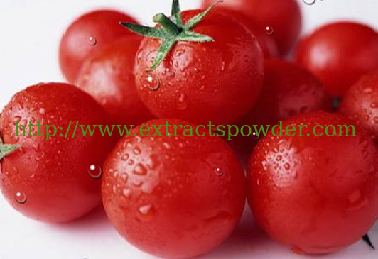 lycopene 5%/Lycopene 6%/lycopene 10%/lycopene 20%/lycopene 80% CAS NO.: 502-65-8