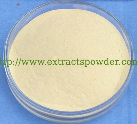 5%-98% natural Danshensu,Tanshinol,dan shen suan a,salvianic acid a CAS No.: 76822-21-4