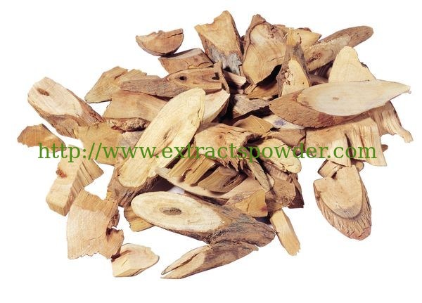 Traditional Chinese Medicine Dong Quai Root Extract Ligustilide 1% CAS No:4431-01-0