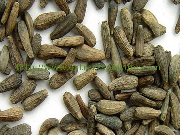 Antibacterial and antiviral Arctiin 30% Burdock Seed Extract powder CAS No.:20362-31-6