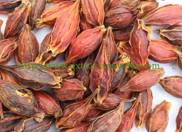 Anti-inflammatory gardenia fruit extract Gardenoside/Geniposide 75% CAS No.: 24512-62-7