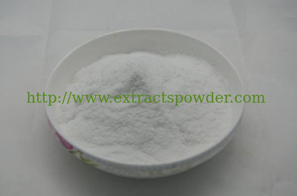 CAS No.: 9005-80-5 natural Chicory Root Extract inulin 86%90%95%