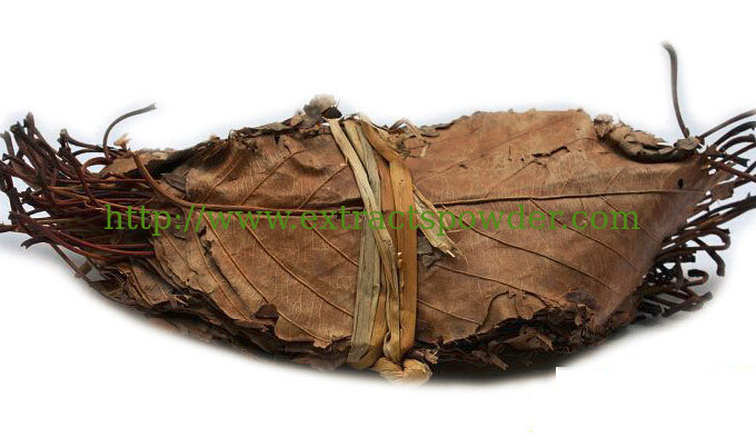 100% pure natural Hawthorn Leaf Extract 0.2% Vitexin Cas.:3681-93-4