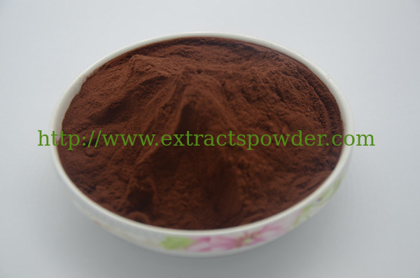 84929-27-1 Proanthocyanidin Vitis Vinifera Seed Extract 95%,OPC Grape Seed Extract 95%