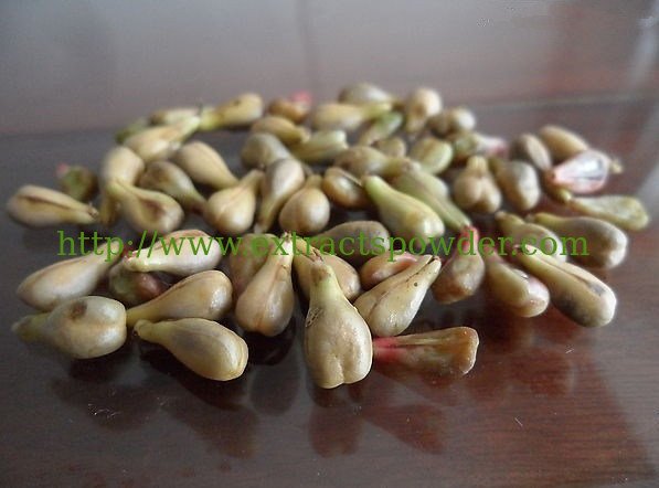 skin-whitening and spots(freckles) dispeling Grape Seed vitis vinifera Extract 84929-27-1