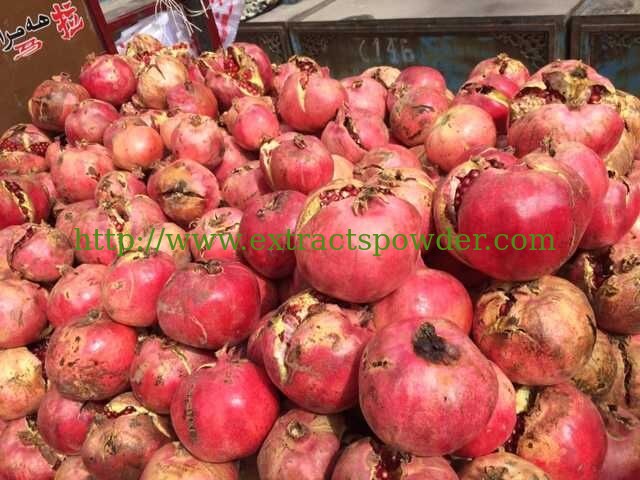 pure pomegranate powder for snacks, solid beverage, ice-cream, all kinds of milk tea