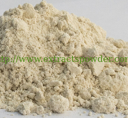 oat fiber extract,oat grain extract,oat kernel extract gluten free,oat herb extract