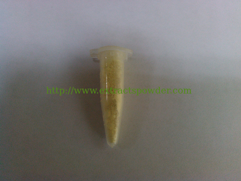 hot sale icariin extract from leaf of Epimedium Brevicornum/horny goat weed CAS: 489-32-7