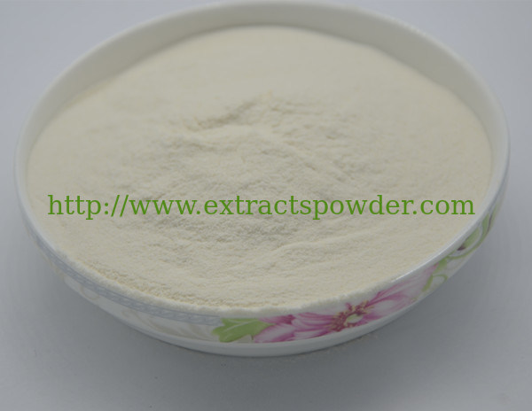 fermented soybean extract nattokinase tablets or capsules in large supply cas.:133876-92-3
