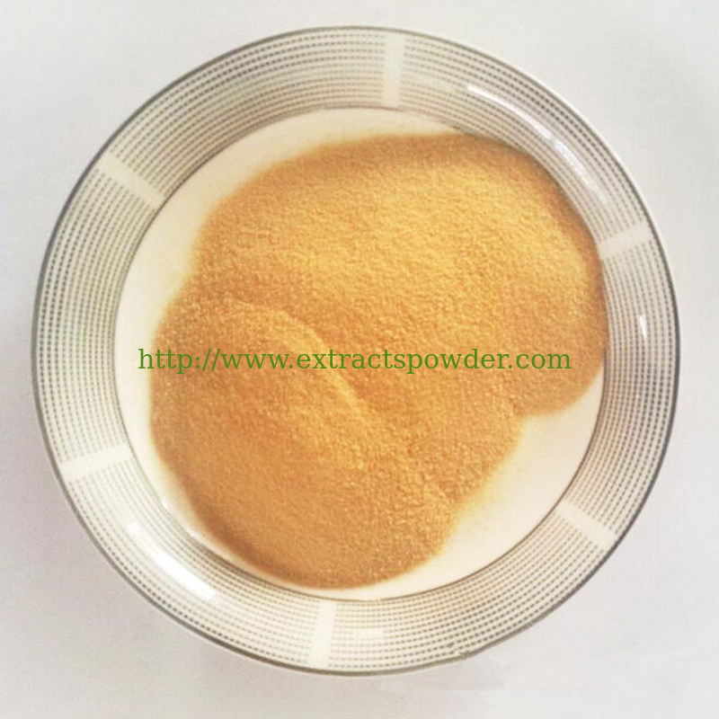Water Soluble Corn Oligopeptides Powder Protein 80 Corn Peptides 75