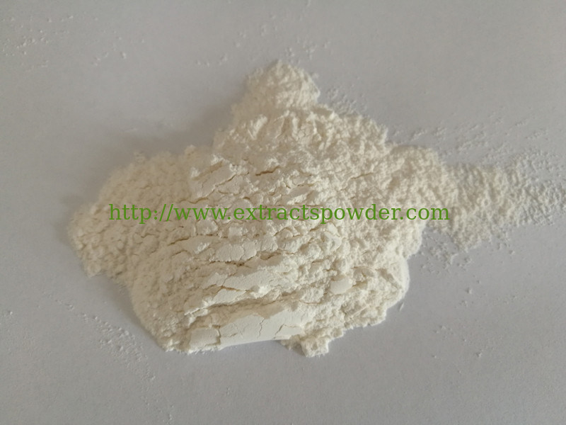 Chondroitin Sulfate from pigs cartilage tissue, Chondroitin Sulphate Pork  Cas no.:9007-28-7