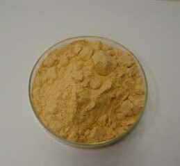instant Seabuckthorm powder