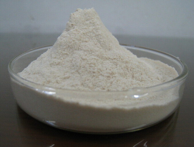 Betulin Birch Bark Extract 98%HPLC
