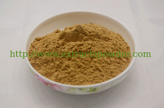 Antrodia cinnamomea Extract/Antrodia cinnamomea polysaccharide (مستخلص من (أنتروديا قنديل)